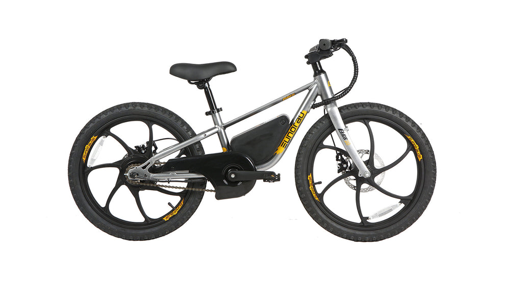 EKIDS-20 250W 2024 Ebike