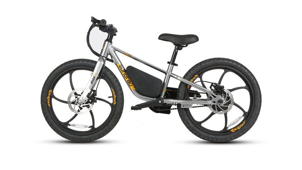 EKIDS-20 250W 2024 Ebike