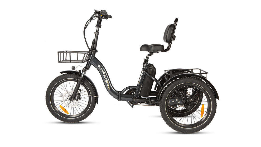 ONE-TRIKE 500W Electric tricycle