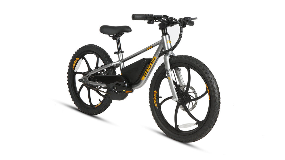 EKIDS-20 250W 2024 Ebike