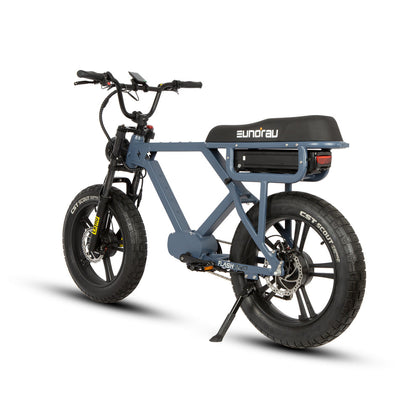 Flash Ebike 1000W