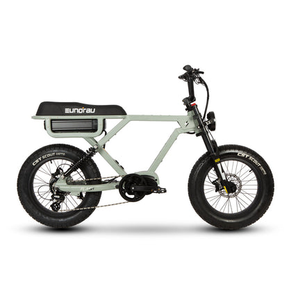 Flash Ebike 1000W