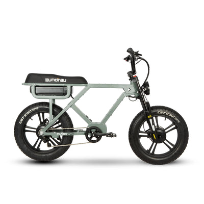 Eunorau Flash AWD Dual-Motor Fat-Tire Electric Bike