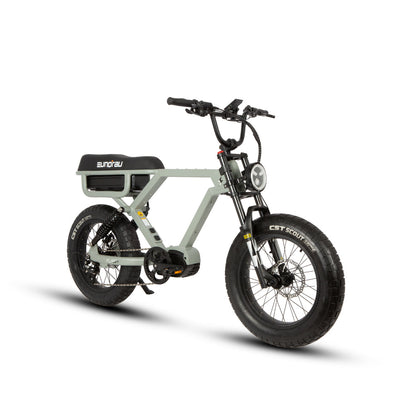 Flash Ebike 1000W