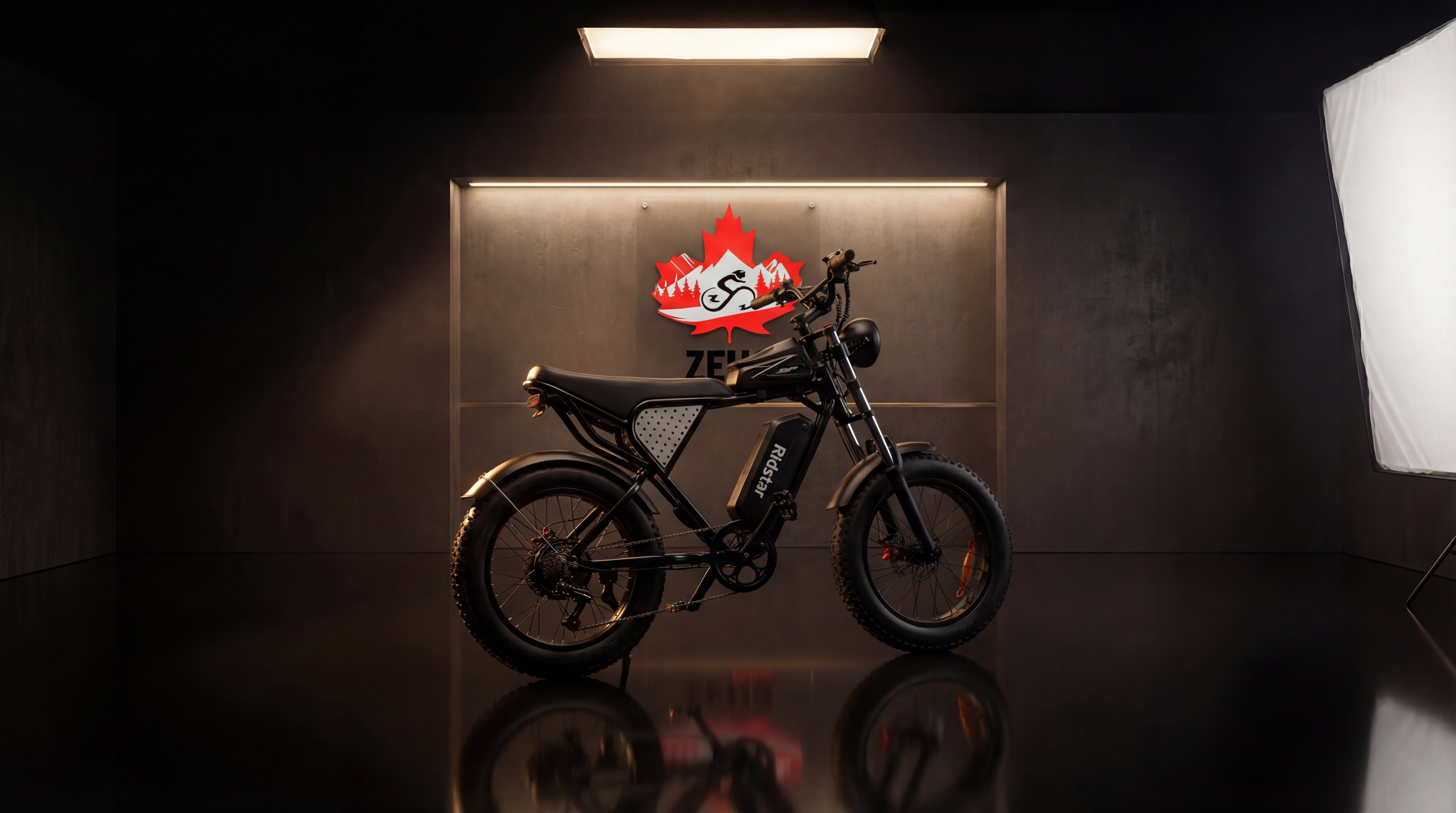 Ridstar Q20 — 1500W Fat Tire Retro eBike (48V 20Ah, Full Suspension)