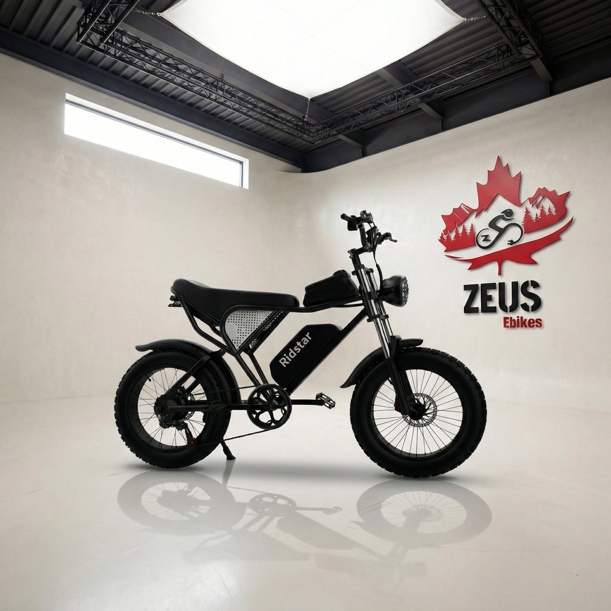 Ridstar Q20 — 1500W Fat Tire Retro eBike (48V 20Ah, Full Suspension)