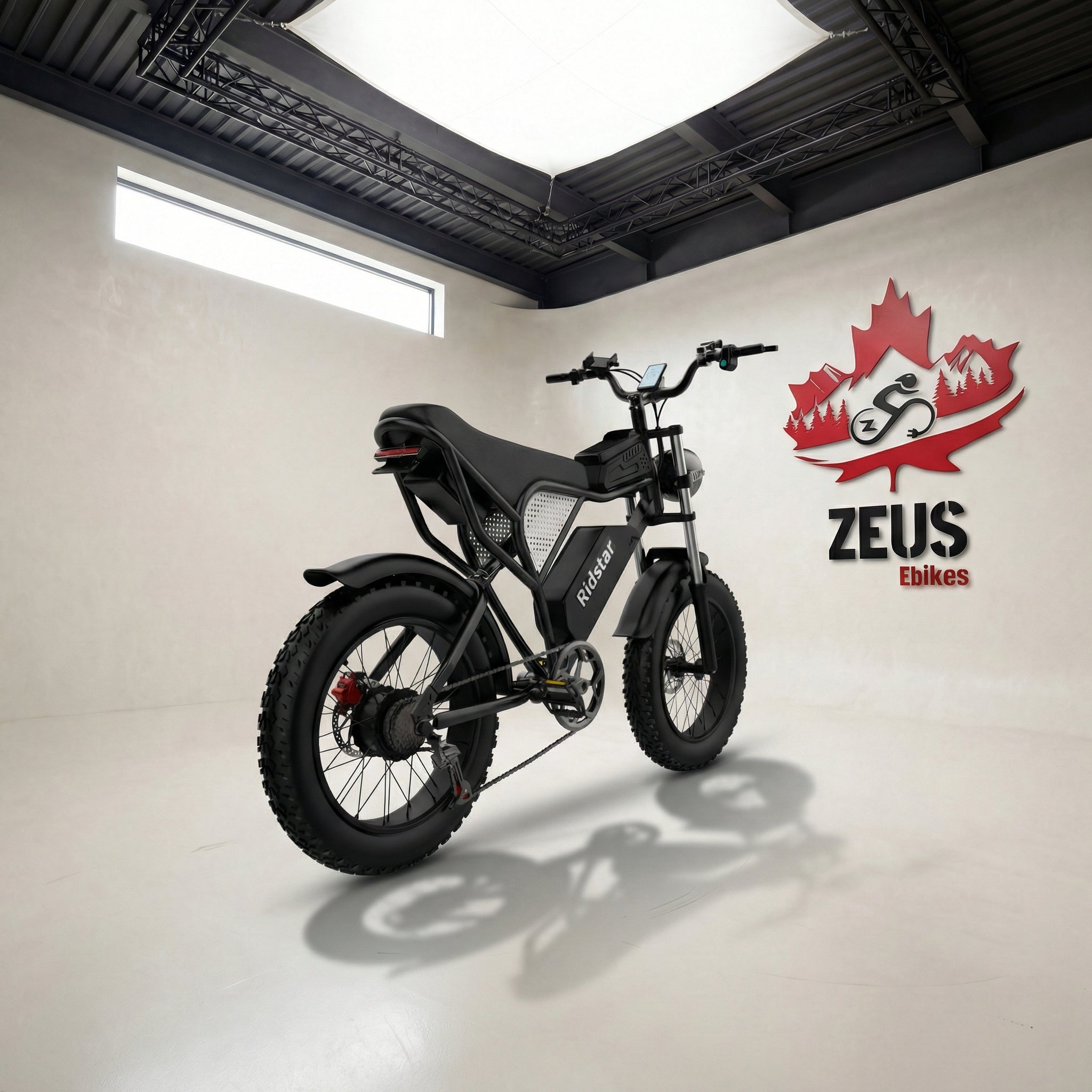 Ridstar Q20 — 1500W Fat Tire Retro eBike (48V 20Ah, Full Suspension)