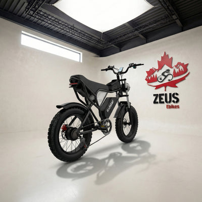 Ridstar Q20 — 1500W Fat Tire Retro eBike (48V 20Ah, Full Suspension)