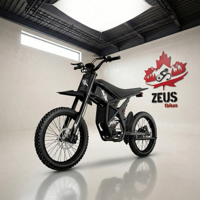 GT73 Electric Motorbike (Dual Battery 48V 18.2Ah×2, 2400W Peak, 25” Off-Road Tires)