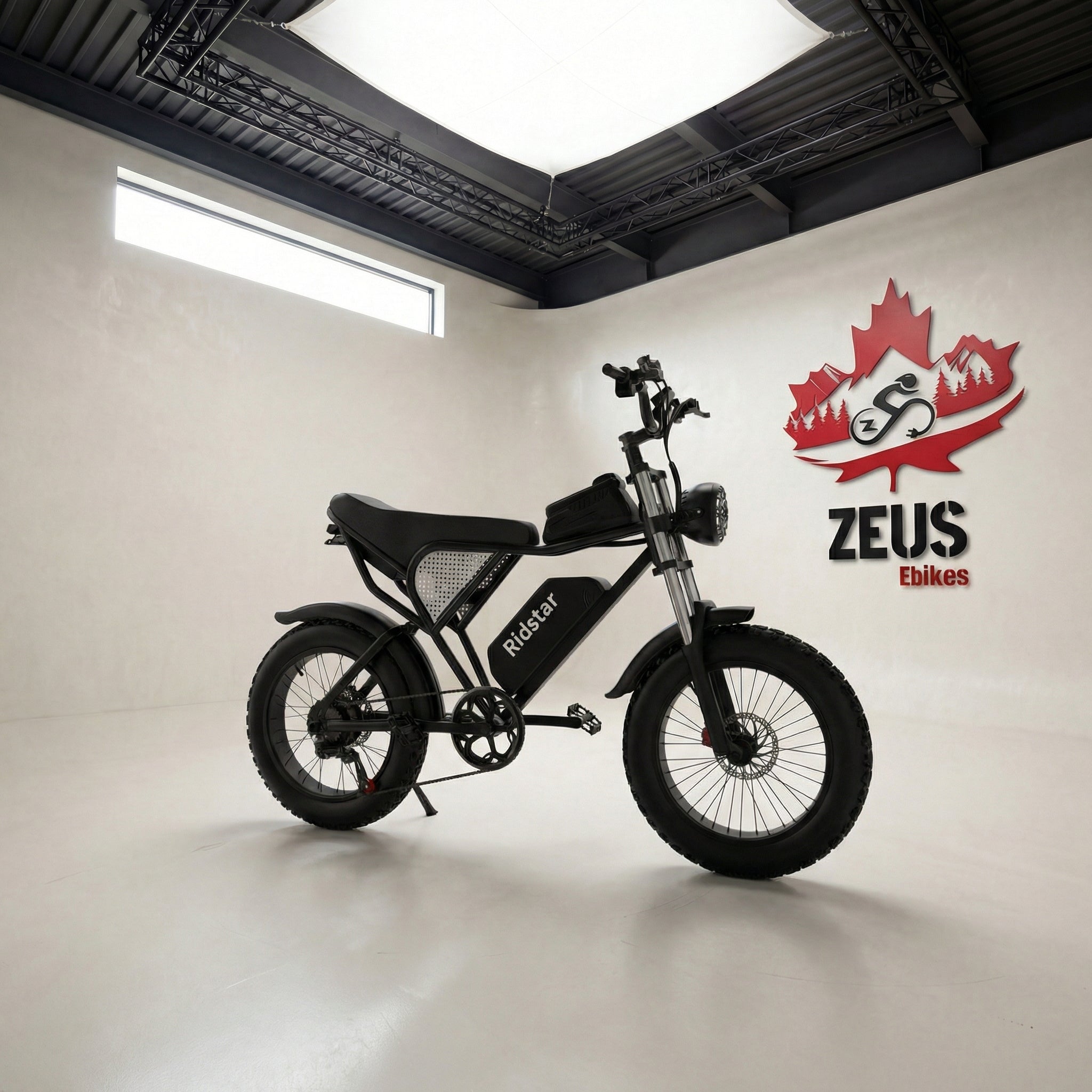 Ridstar Q20 — 1500W Fat Tire Retro eBike (48V 20Ah, Full Suspension)