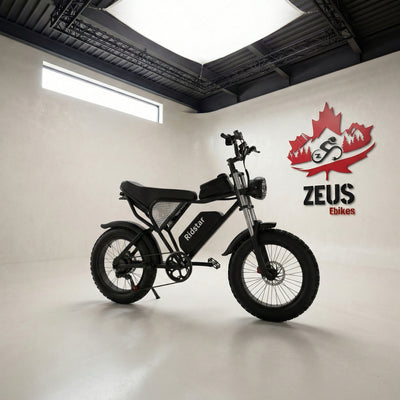 Ridstar Q20 — 1500W Fat Tire Retro eBike (48V 20Ah, Full Suspension)