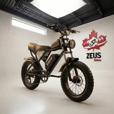 Ridstar Q20 — 1500W Fat Tire Retro eBike (48V 20Ah, Full Suspension)