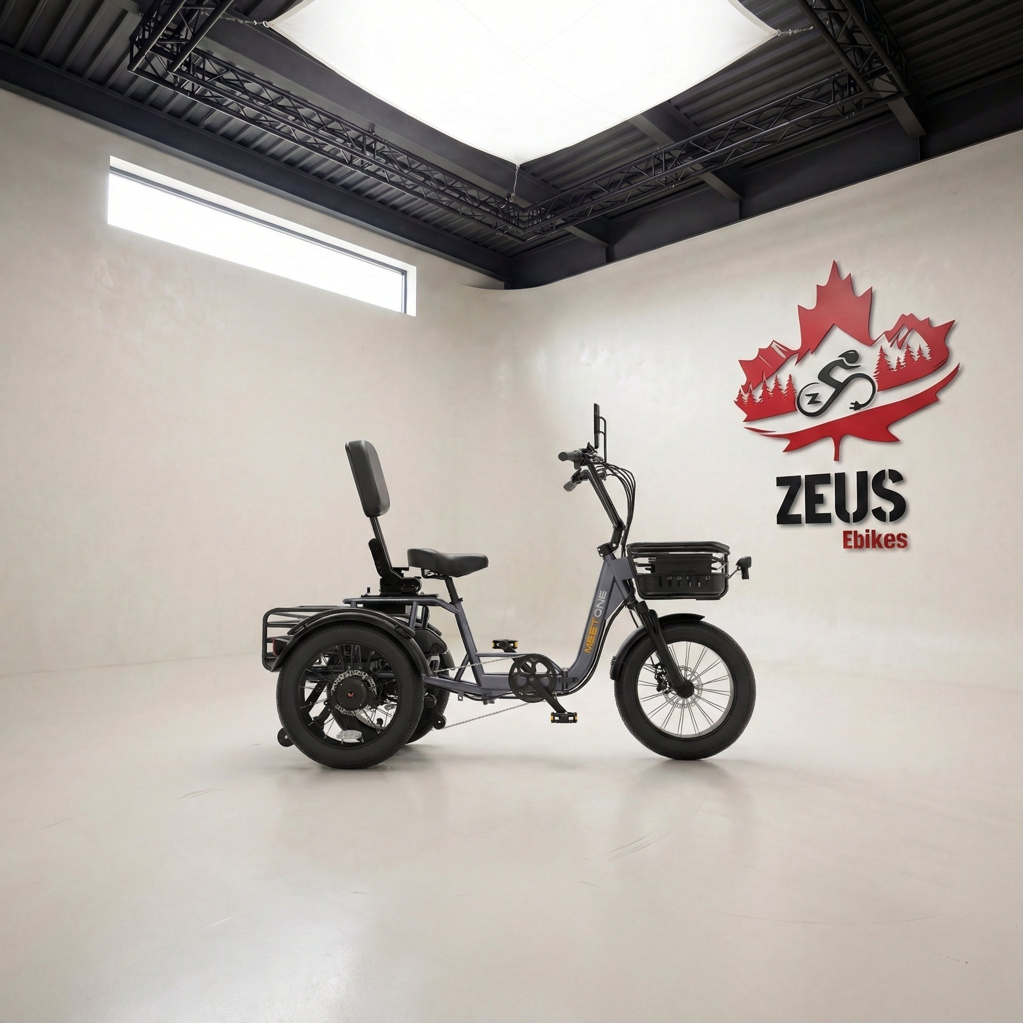 Meet One Breeze Pro Fat Tire Electric Trike — 90 Nm – Zeus Ebikes