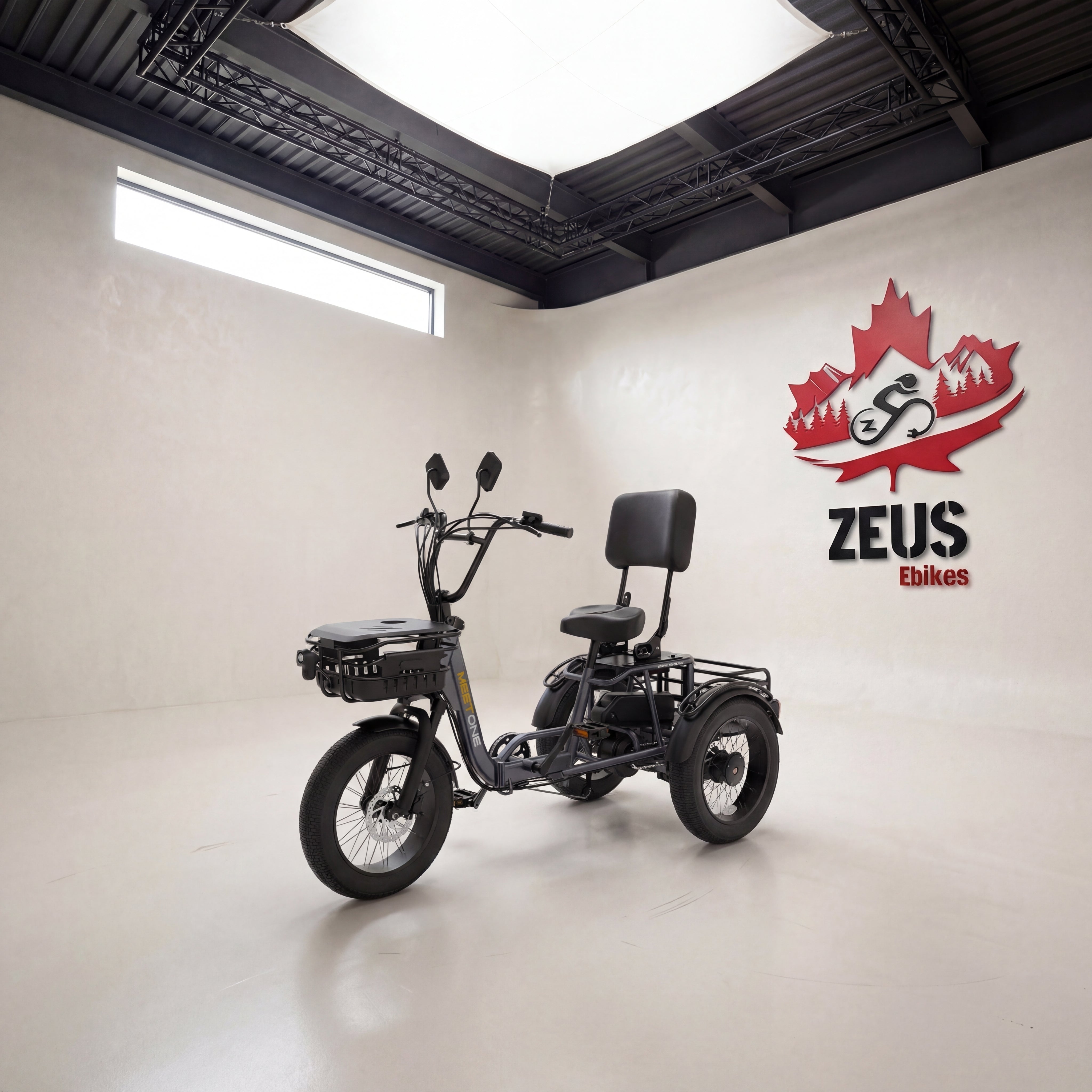 Meet One Breeze Pro Fat Tire Electric Trike — 90 Nm | Zeus eBikes