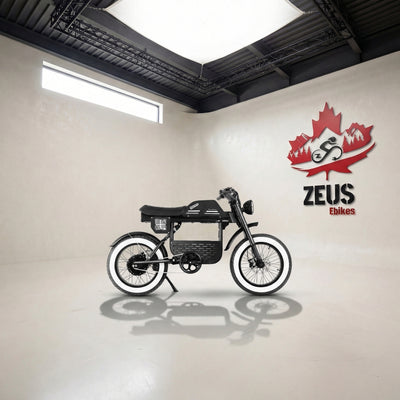 Eahora FT-01 Max 2025 Moped-Style Electric Bike (48V 30Ah, 500W, Hydraulic Brakes)