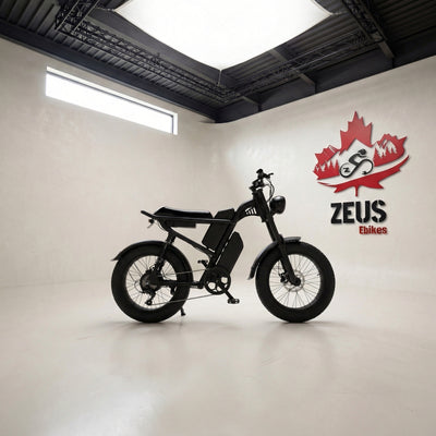 Z8 Moped-Style Electric Bike (Z8 / Z8S / Z8 Pro)