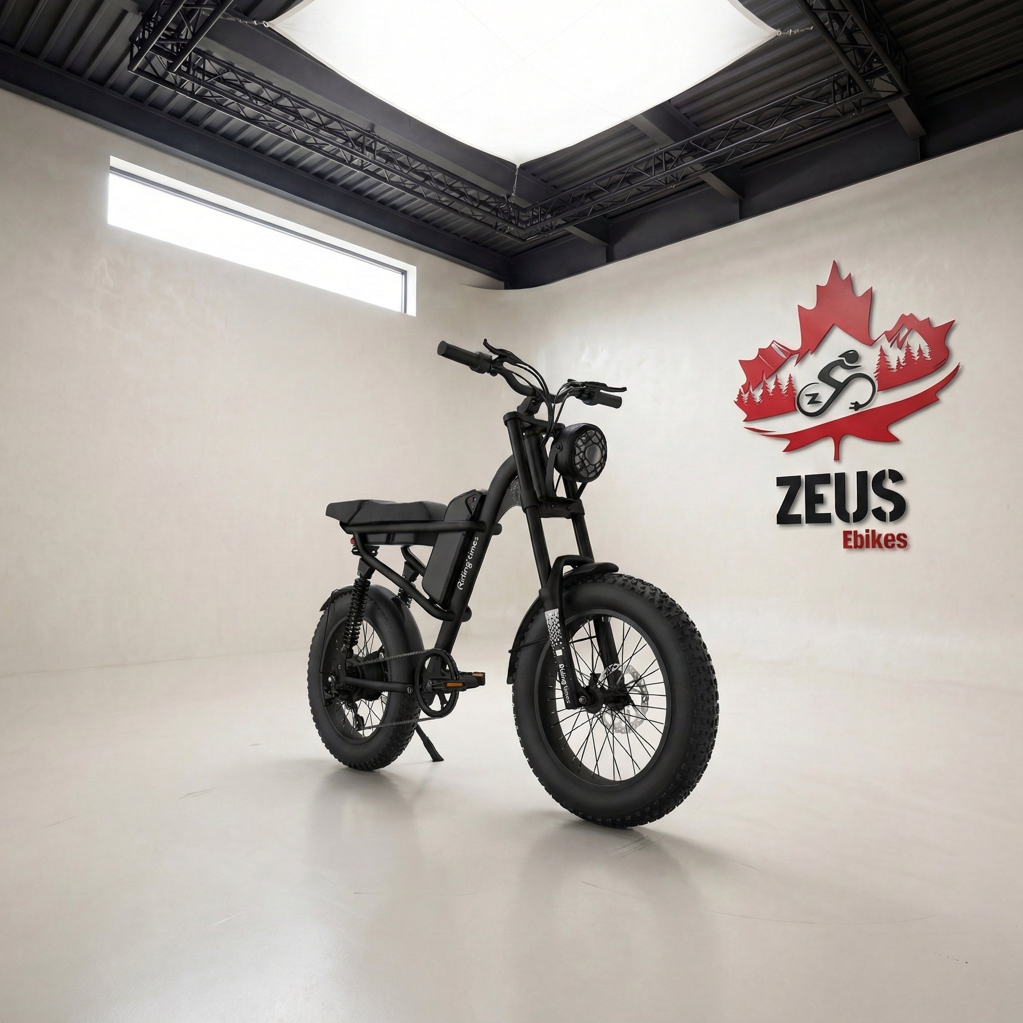 Z8 Moped-Style Electric Bike (Z8 / Z8S / Z8 Pro)