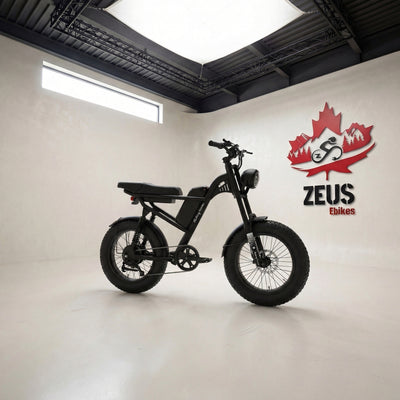 Z8 Moped-Style Electric Bike (Z8 / Z8S / Z8 Pro)