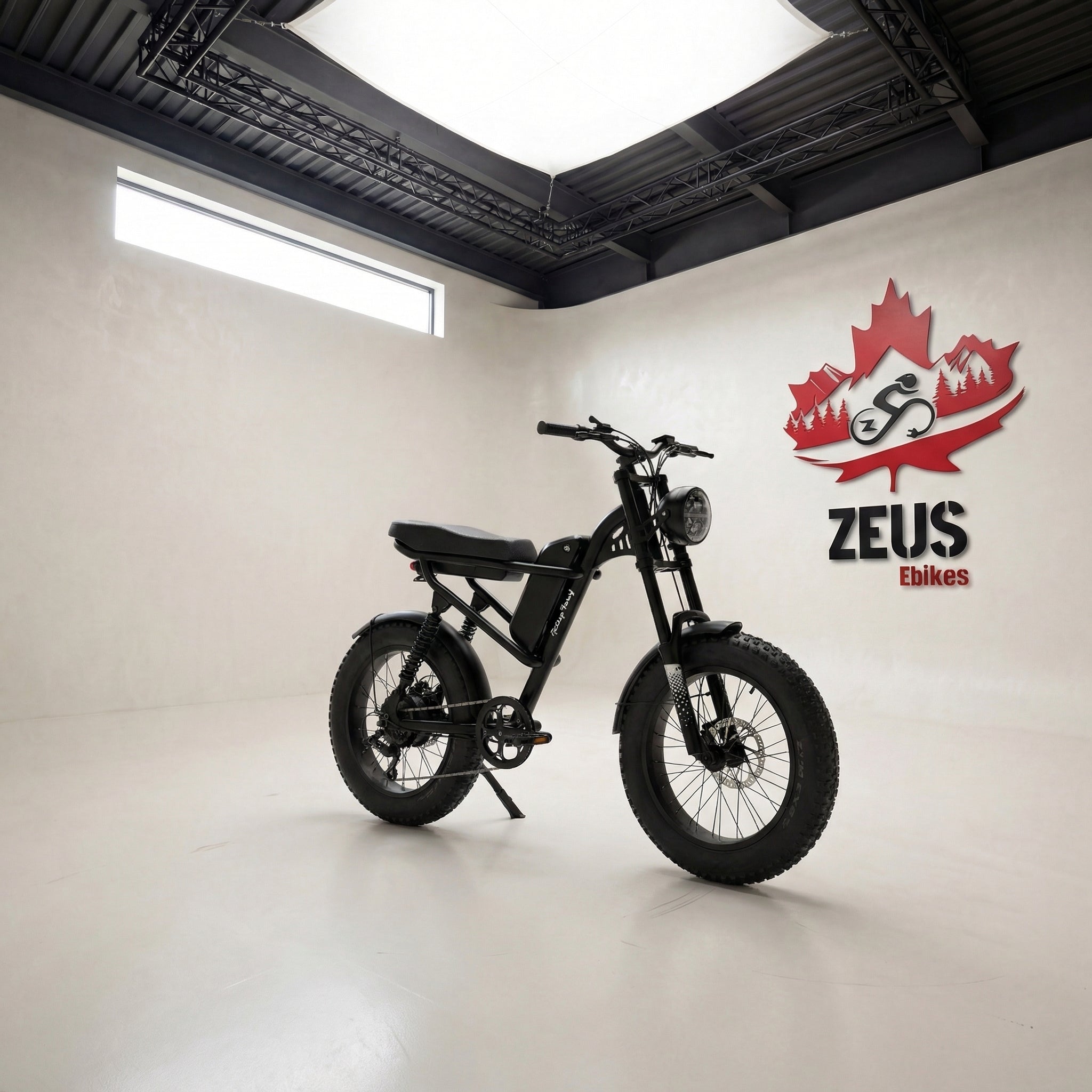 Z8 Moped-Style Electric Bike (Z8 / Z8S / Z8 Pro)