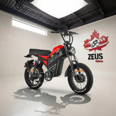 Freesky Cheetah MT-380 — 4000W Dual Motor AWD Electric Motorbike