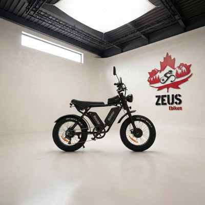 Ridstar Q20 Pro Dual Motor 2000W Retro Ebike