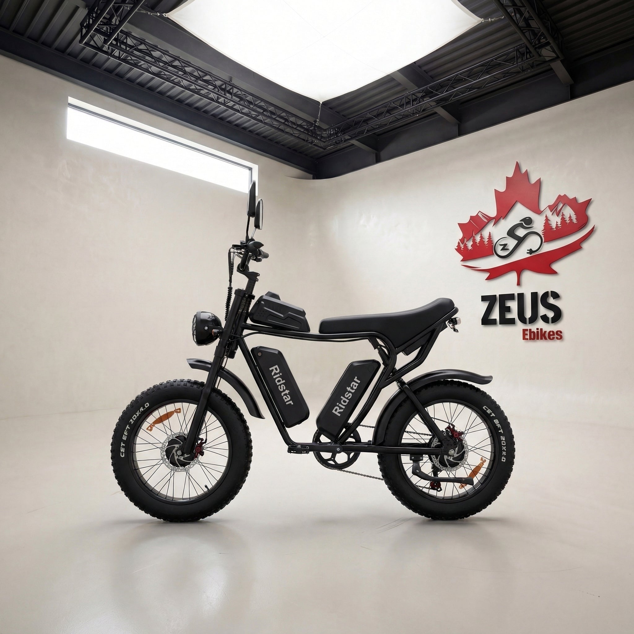 Ridstar Q20 Pro Dual Motor 2000W Retro Ebike