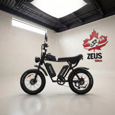 Ridstar Q20 Pro Dual Motor 2000W Retro Ebike