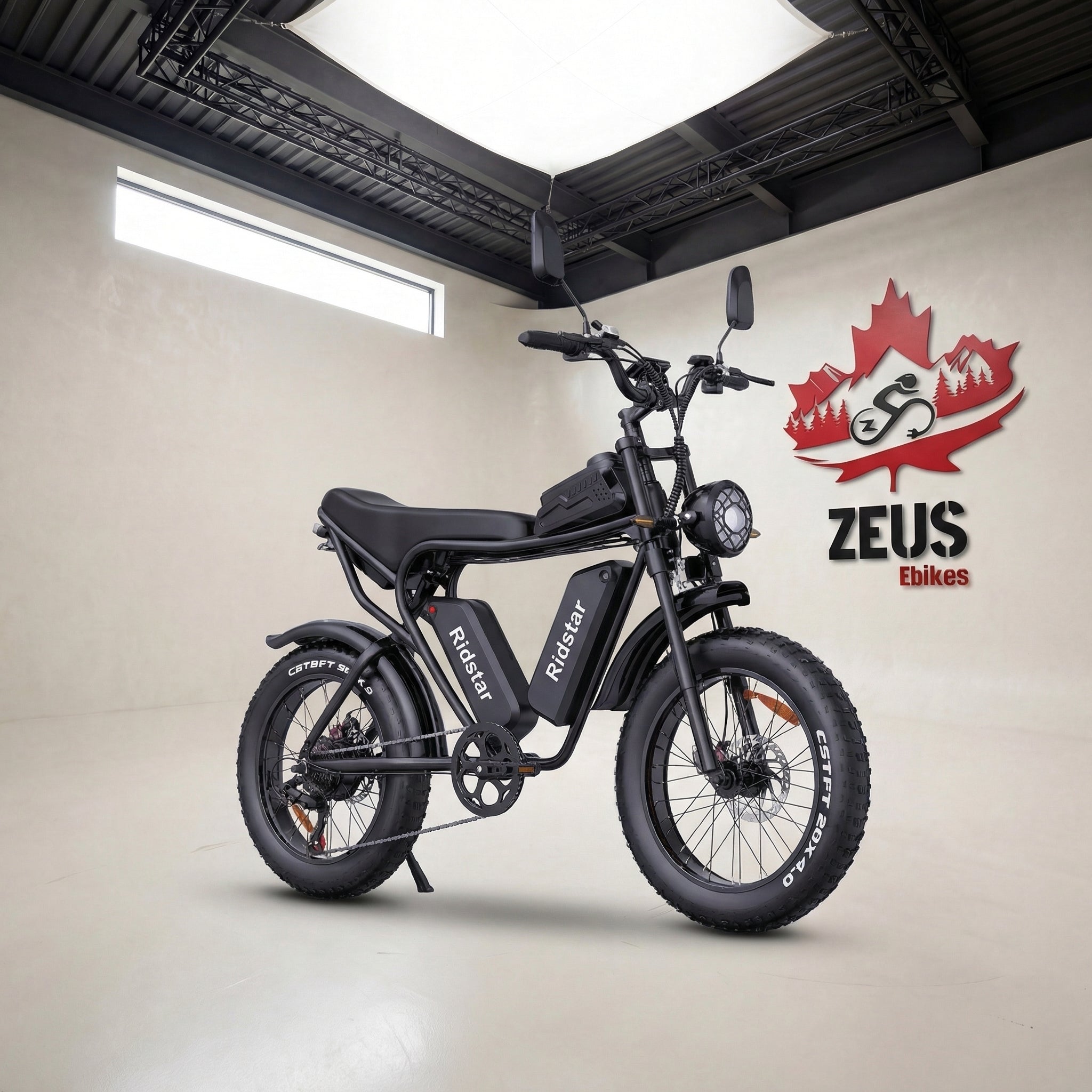 Ridstar Q20 Pro Dual Motor 2000W Retro Ebike