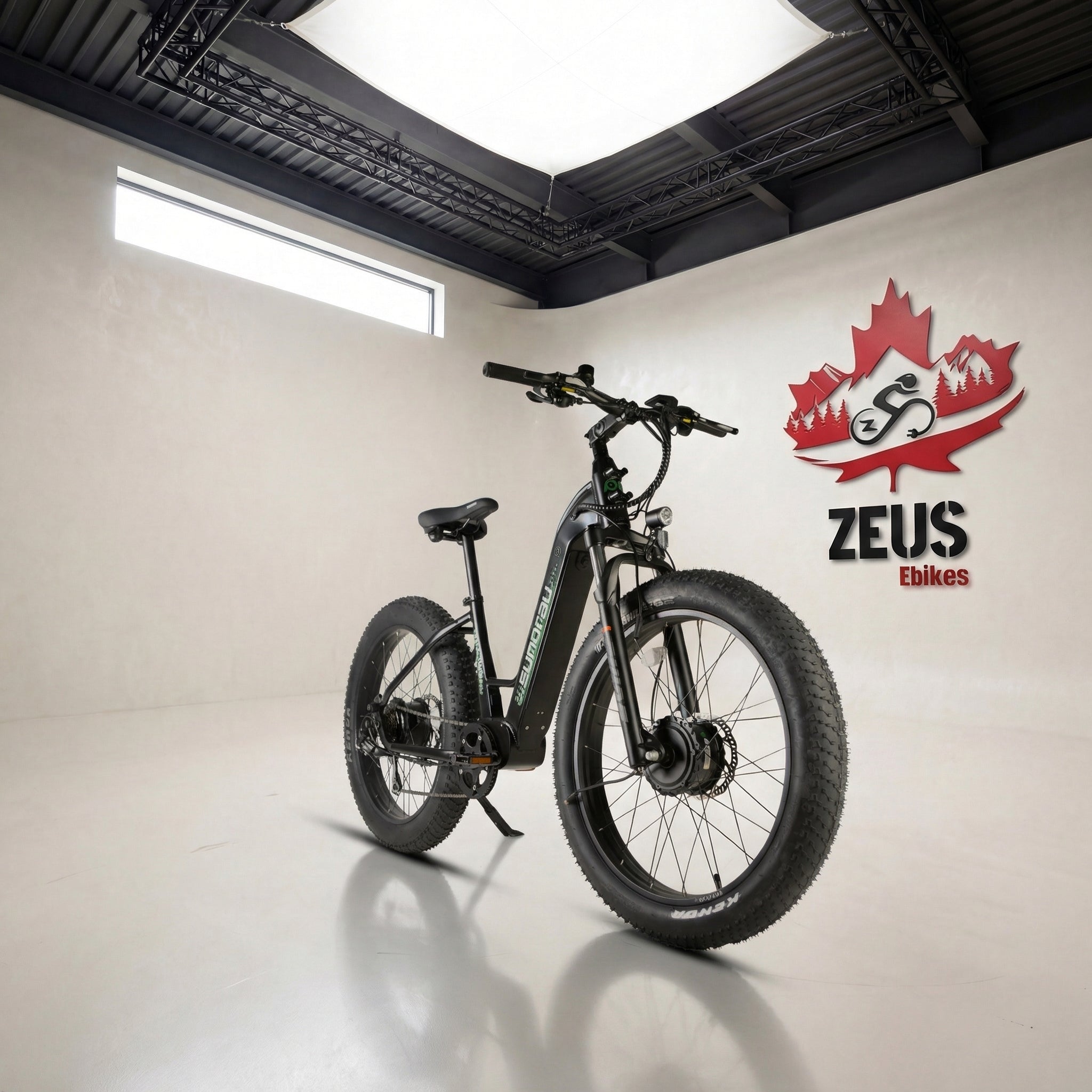 Eunorau Fat AWD 3.0 — Dual-Motor AWD Fat Tire eBike – Zeus Ebikes