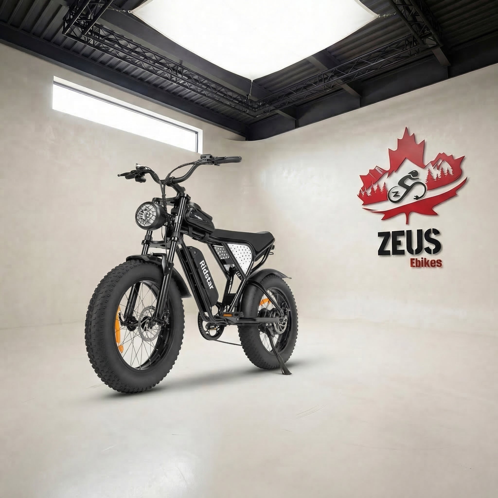 Ridstar Q20 Lite 1000W Retro Ebike