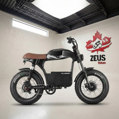 Eahora DL2000 Dual Motor Moped-Style Electric Bike (52V 30Ah)