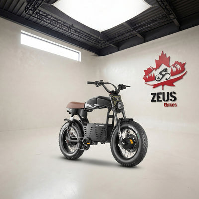 Eahora DL2000 Dual Motor Moped-Style Electric Bike (52V 30Ah)