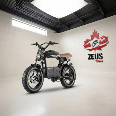 Eahora DL2000 Dual Motor Moped-Style Electric Bike (52V 30Ah)