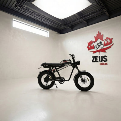 Vtuvia TIGER PLUS Full Suspension Fat Tire Ebike