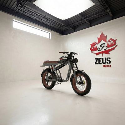 Vtuvia TIGER PLUS Full Suspension Fat Tire Ebike