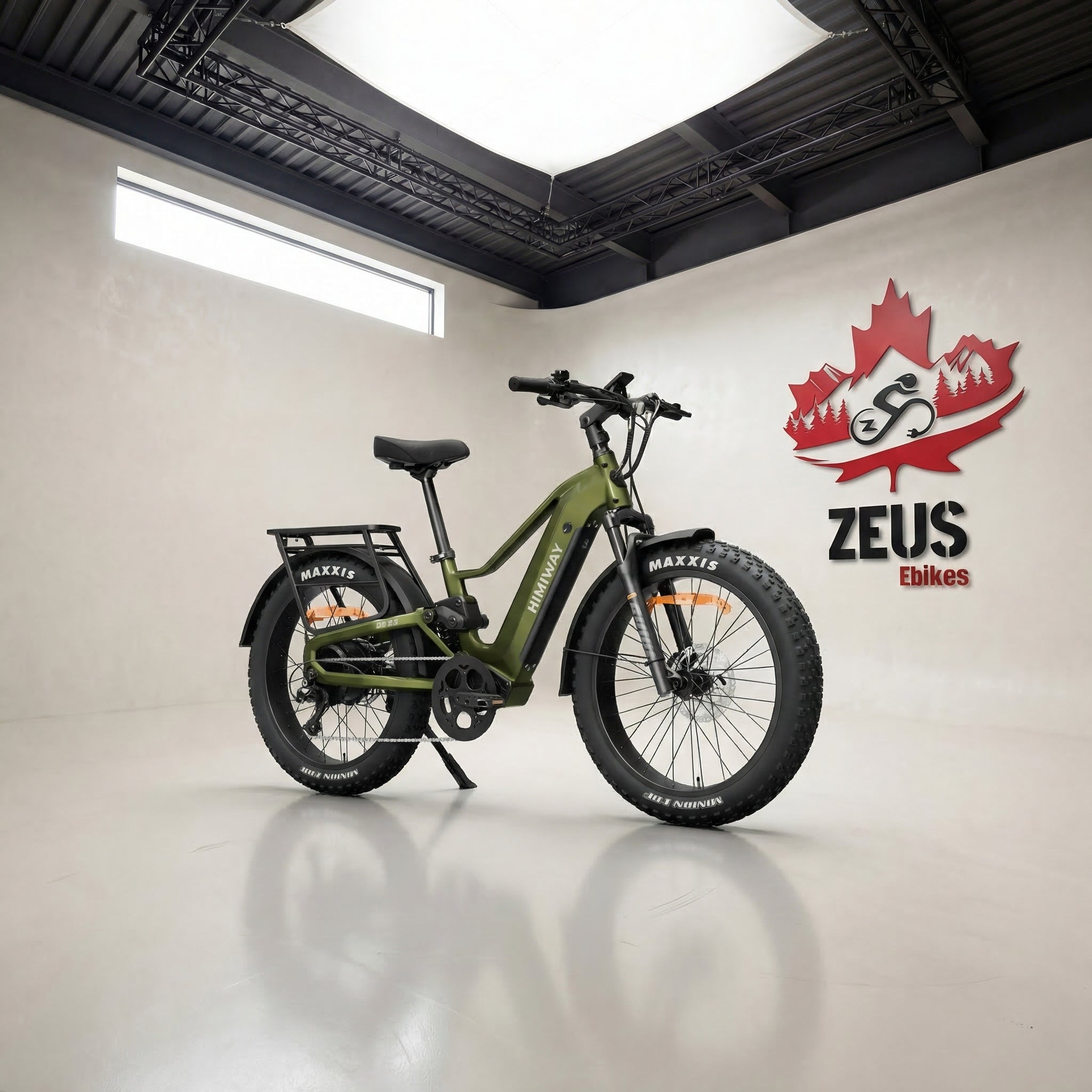 Himiway Escape Pro Long Range Moped-Style Electric Bike – Zeus