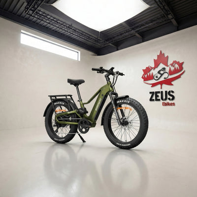 Himiway D5 2.0 Full Suspension Fat Tire eBike (26")