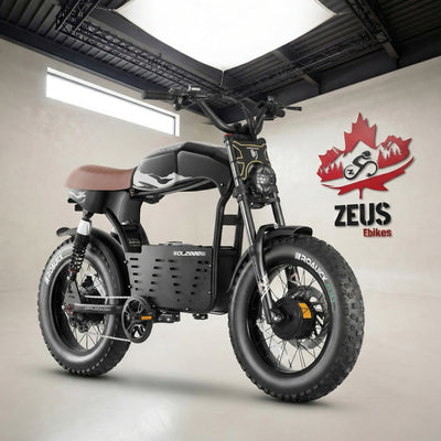 Eahora DL2000 Dual Motor Moped-Style Electric Bike (52V 30Ah)