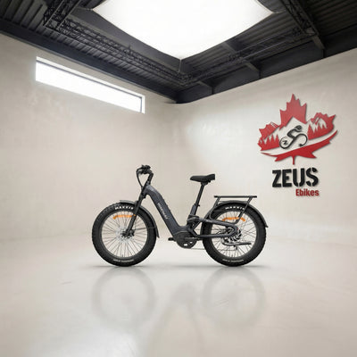 Himiway D5 2.0 ST Full Suspension Step-Thru Fat Tire eBike
