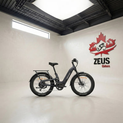 Himiway D5 2.0 ST Full Suspension Step-Thru Fat Tire eBike