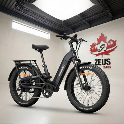 Himiway D5 2.0 ST Full Suspension Step-Thru Fat Tire eBike