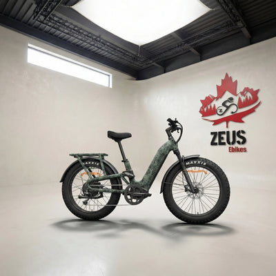 Himiway D5 2.0 ST Full Suspension Step-Thru Fat Tire eBike