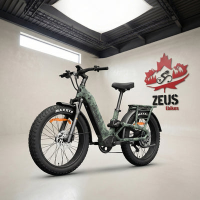 Himiway D5 2.0 ST Full Suspension Step-Thru Fat Tire eBike