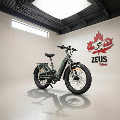 Himiway D5 2.0 ST Full Suspension Step-Thru Fat Tire eBike