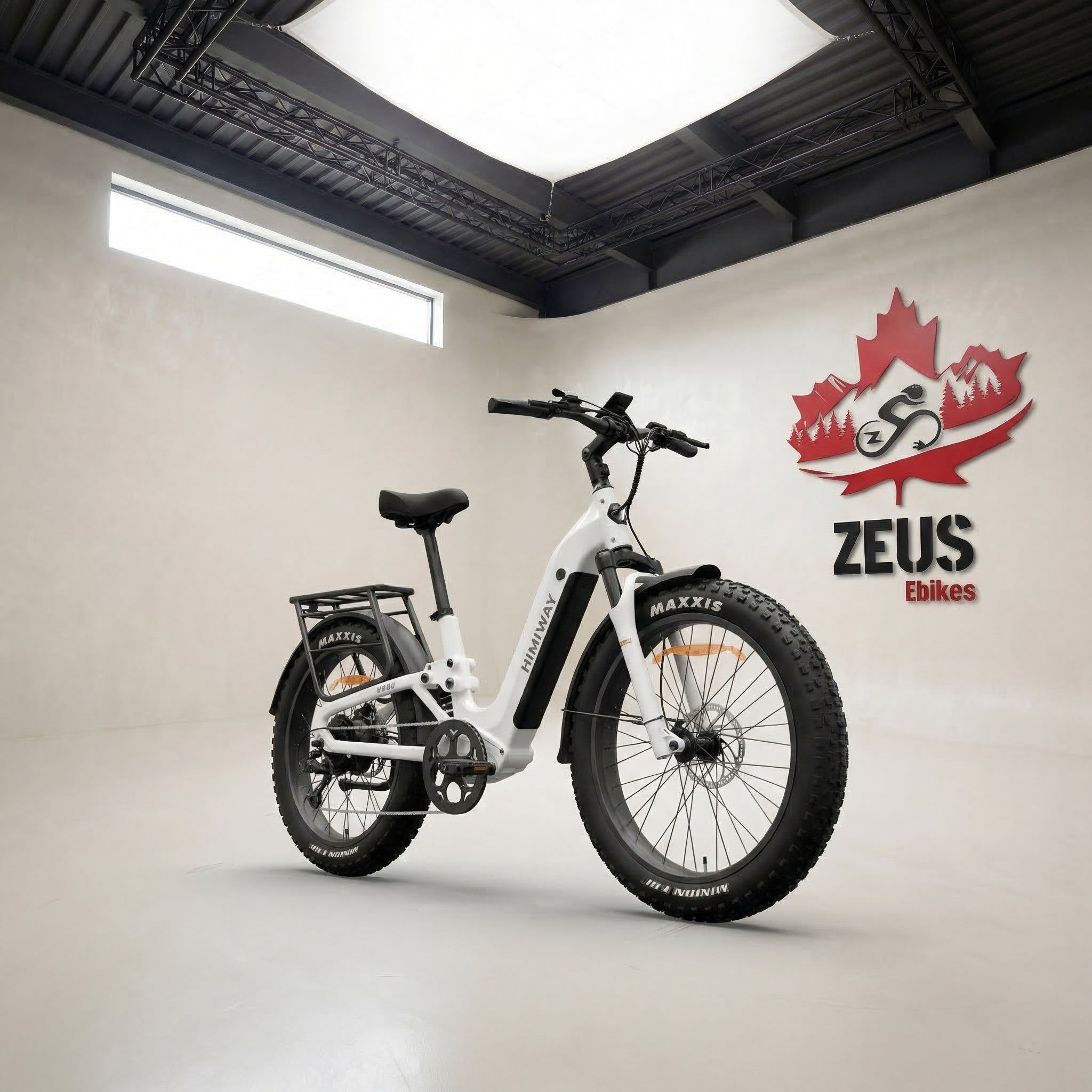 Himiway Escape Pro Long Range Moped-Style Electric Bike – Zeus