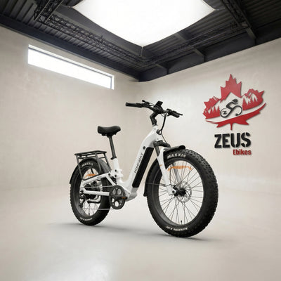 Himiway D5 2.0 ST Full Suspension Step-Thru Fat Tire eBike