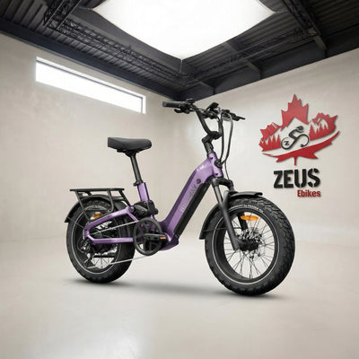 Himiway D5 2.0 20" Full Suspension Fat Tire eBike