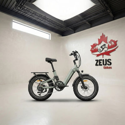 Himiway D5 2.0 20" Full Suspension Fat Tire eBike