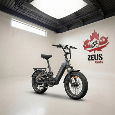 Himiway D5 2.0 20" Full Suspension Fat Tire eBike