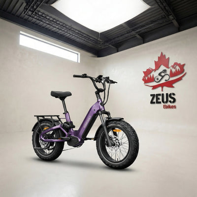 Himiway D5 2.0 20" Full Suspension Fat Tire eBike